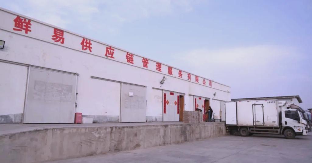 伊吾鲜易供应链的春节忙碌与未来发展蓝图